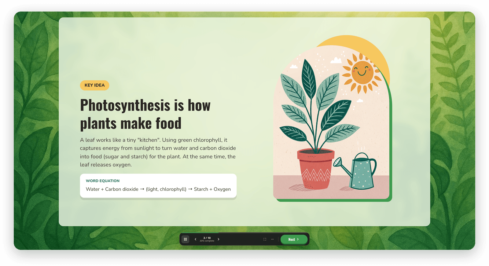The photosynthesis lesson in the player with the Dock layout